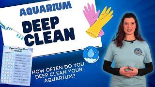 Deep Cleaning Your Aquarium