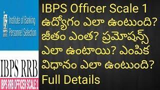 IBPS Officer Scale 1 Job(Work,Salary,Pramotions) | RRB Officer scale 1 Job Profile