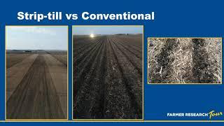 Strip-Till Research with the On-Farm® Network