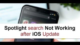 Spotlight Search Not Working on After iOS Update(Fixed)