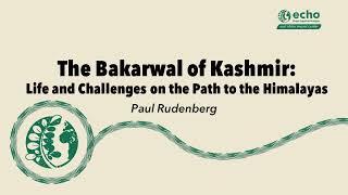 The Bakarwal of Kashmir: Life and Challenges on the Path to the Himalayas