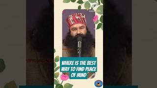 Where Is The Best Way To Find Peace Of Mind #MSGBhandara #SaintMSG #RamRahim #DeraSachaSauda