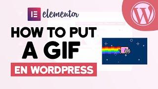 How To Put a GIF in Elementor (Step by Step)