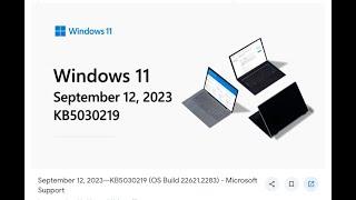 2023 09 Cumulative Update for Windows 11 Version 22H2 for x64 based Systems KB5030219