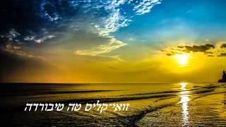 זואי-קליס טה טיבורדה-zoey-