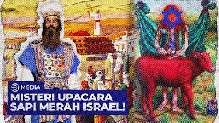 2024 !! ISRAEL REBUT YERUSALEM DEMI SAMBUT MESSIAH TURUN DENGAN UPACARA SAPI MERAH !! - THE DOCUMENT