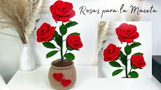 Tutorial Rosas para MacetaMayelin Ros