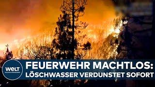 VERHEERENDER WALDBRAND AUF TENERIFFA - Mehrere Dörfer auf Kanareninsel evakuiert