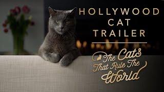 HOLLYWOOD CAT TRAILER | THE CATS THAT RULE THE WORLD | SHEBA®