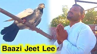 One Day Baazi Bhai Sheru Ne Jeet li  | Kabooter Bazi In Pakistan | Pigeons Club