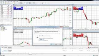 MetaTrader 5 | MT5 | Getting Started Signing up and Following MQL Signals