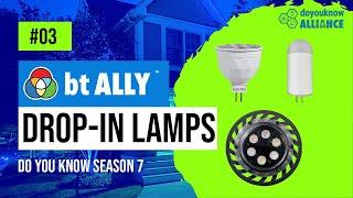 Upgrade Outdoor Lighting with bt-ALLY: Retrofitting Outdated Fixtures with Bluetooth® RGBW Lamps!