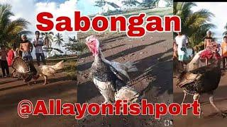 SABONGAN SA ALLAYON FISHPORT || Sakura Awwah