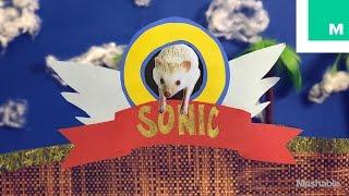 Sonic the Hedgehog in Real Life