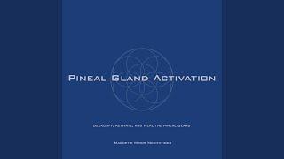 Pineal Gland Activation (Decalcify, Activate, and Heal the Pineal Gland)