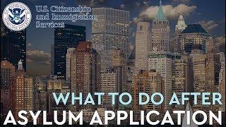 What to Do After You Apply for Asylum?