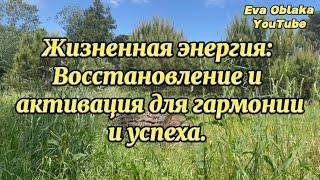 Жизненная энергия, восстановление и активация для гармонии и успеха.