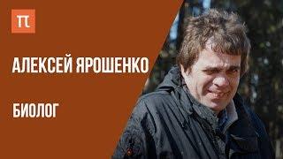 Что я знаю — ЭКОЛОГИЯ ЛЕСОВ // Биолог Алексей Ярошенко на ПостНауке