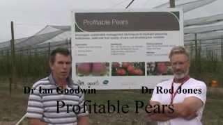 Profitable Pears Project