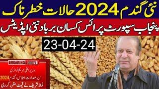 wheat price in Pakistan 2024 | Gundam ka rate 2024 | wheat rate for 2024 | wheat support price 2024