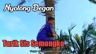 TARIK SIS SEMONGKO FILM PENDEK KOMEDI || NYOLONG DEGAN