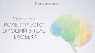 Роль и место эмоций в теле человека