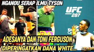 mike tyson gembleng francis nganou dan dana white peringatkan israel adesanya dan toni ferguson