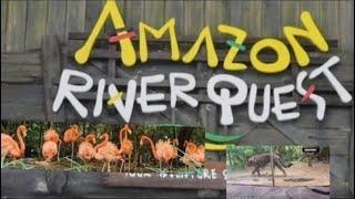 Amazon River Quest|River Wonders|Singapore Zoo|Boat Ride|Anteater|Jaguar