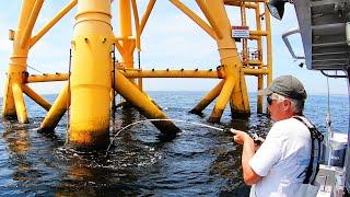 Fishing at Nation's First Offshore Wind Farm - Lots of FISH!