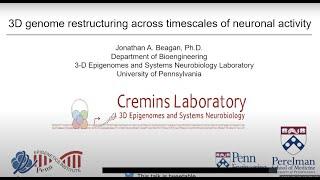 3D Genome Restructuring Across Timescales of Neuronal Activity