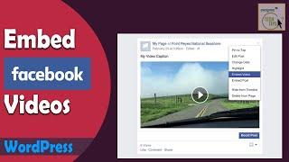 How To Embed Facebook Video in WordPress Website | Embed Facebook Live Video on Your Website