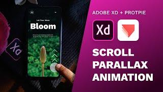 Amazing Parallax Scroll Animations in Adobe Xd + Protopie | Design Weekly
