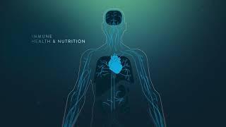 How Nutrition Supports the Immune System
