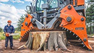 Dangerous Fastest Idiots Cutting Tree Fails Skill With Chainsaw | Monster Stump Removal Excavator#56