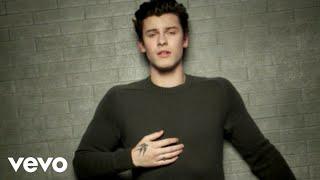 Shawn Mendes - In My Blood