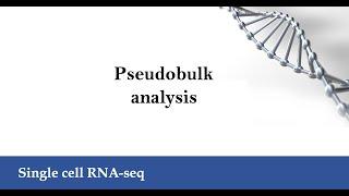 Pseudobulk analysis