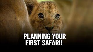 The Ultimate Beginner's Guide to African Safari Planning: Step-by-Step Tips and Tricks!