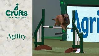 Agility -  Championship - Large Part 1 (Agility) | ​Crufts 2024