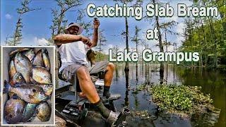 Bream Fishing - Catching Slab Bream at Lake Grampus