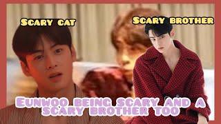 Cha eunwoo Being Scared Of Things And Being A scary Brother Sometimes