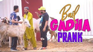 | BAIL GADHA PRANK | By Nadir Ali & Team in | P4 Pakao | 2022