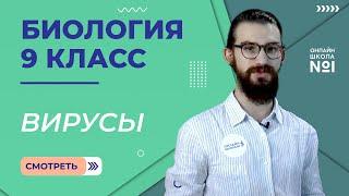 Вирусы. Видеоурок 8. Биология 9 класс