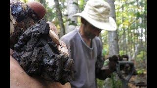 Digging an Incredible Crystal Vein in  Tory Hill, Ontario (Rocks and Minerals)