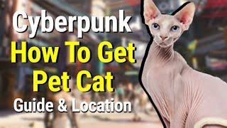 Cyberpunk 2077 - How To Get A Pet Cat (Guide & Location)