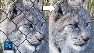 EASILY Remove a FENCE Using PHOTOSHOP