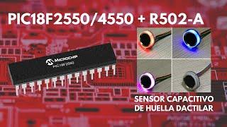 PIC18F2550/4550 SENSOR DE HUELLA DIGITAL(CAPACITIVO) MPLABX - XC8