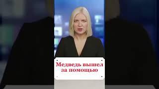 Медведица вышла за помощью к людям