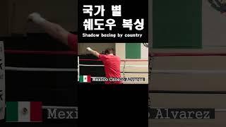 국가별 쉐도우복싱!!Shadow boxing by country