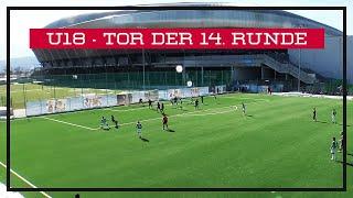 Tolle Vorarbeit von Ermin Mahmic für Lorenz Szladits (AKA SK Rapid U18) | ÖFB Jugendliga U18