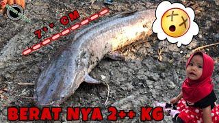  EXPLORER ️HASIL DARI NGABUBURIT AHASYA CHANNEL ️